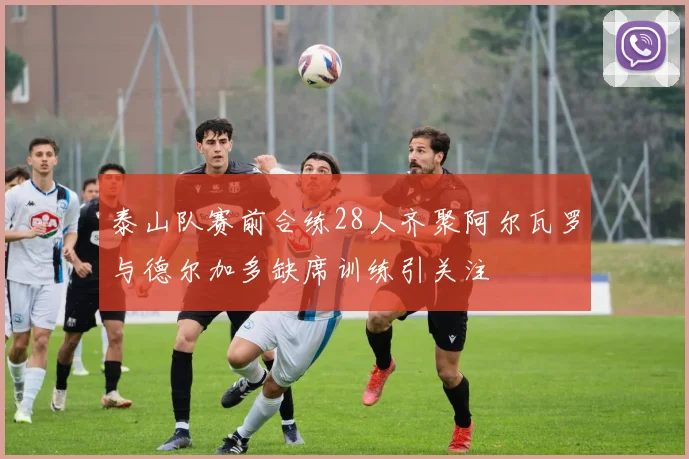 泰山队赛前合练28人齐聚阿尔瓦罗与德尔加多缺席训练引关注